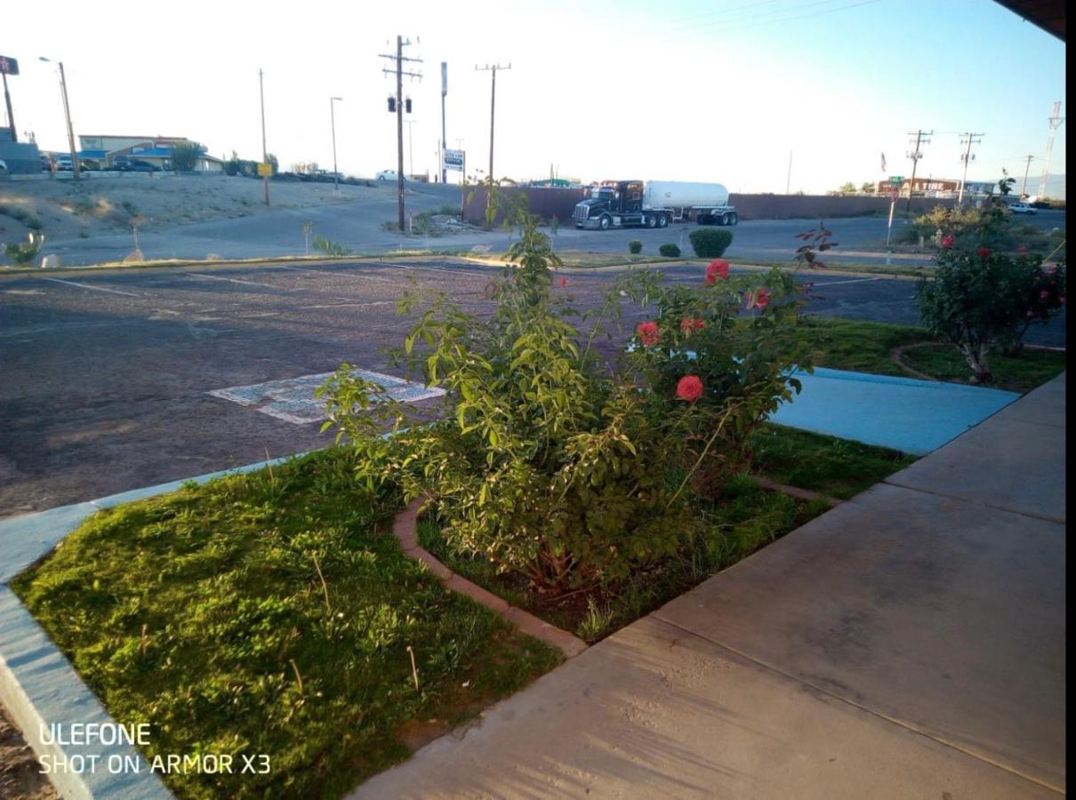 Willcox Extended Inn And Suites Экстерьер фото